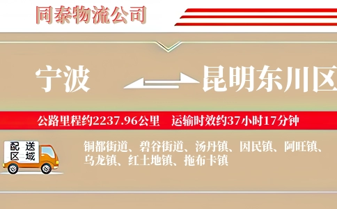 宁波到昆明东川区物流公司