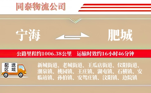 宁海到肥城物流公司