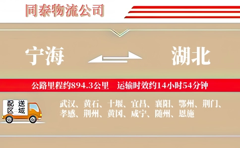 宁海到湖北物流公司